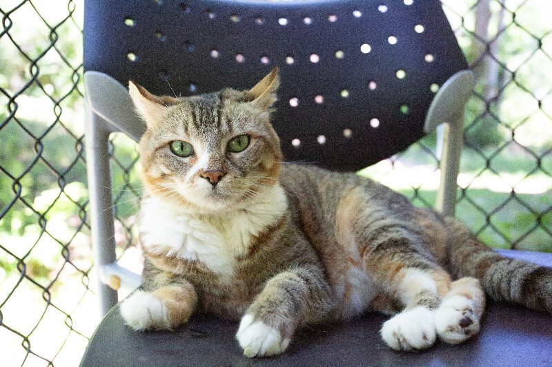 Photo of Izzy