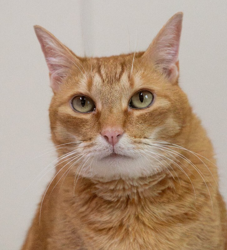 Photo of Tigger