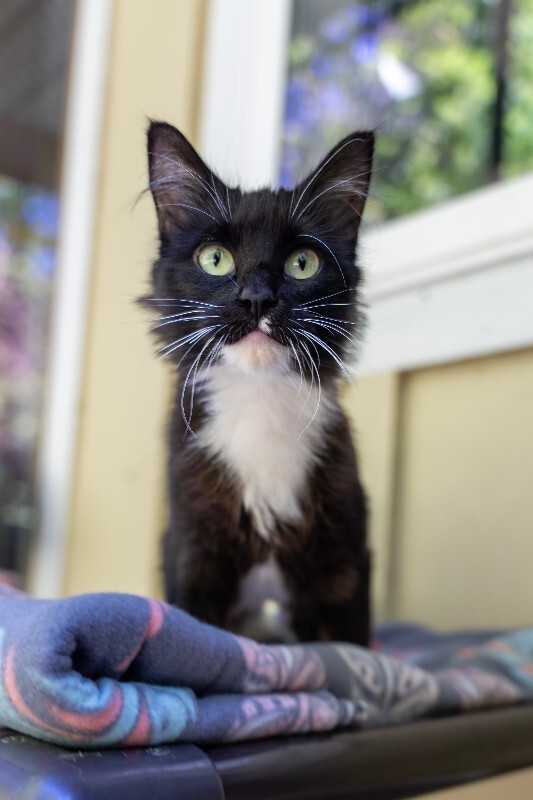 Photo of Sassy Pants