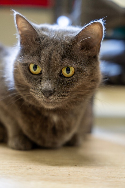 Photo of Big Edie