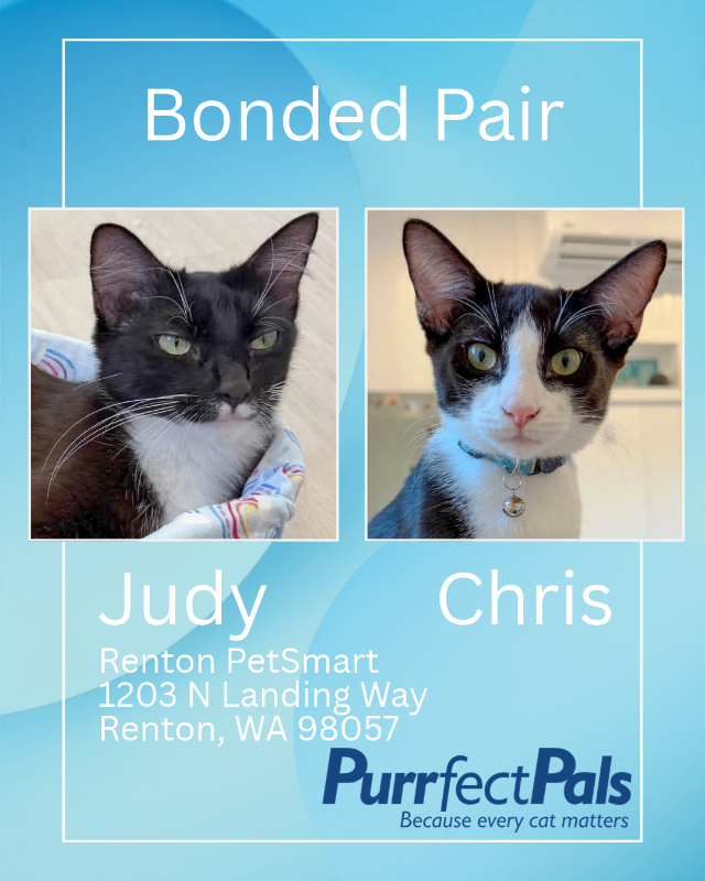 Photo of Judy