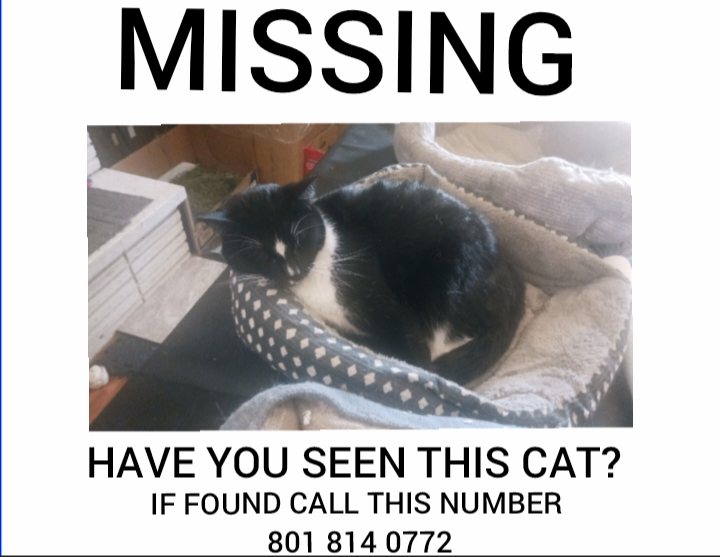 Picture of the Animal Listed