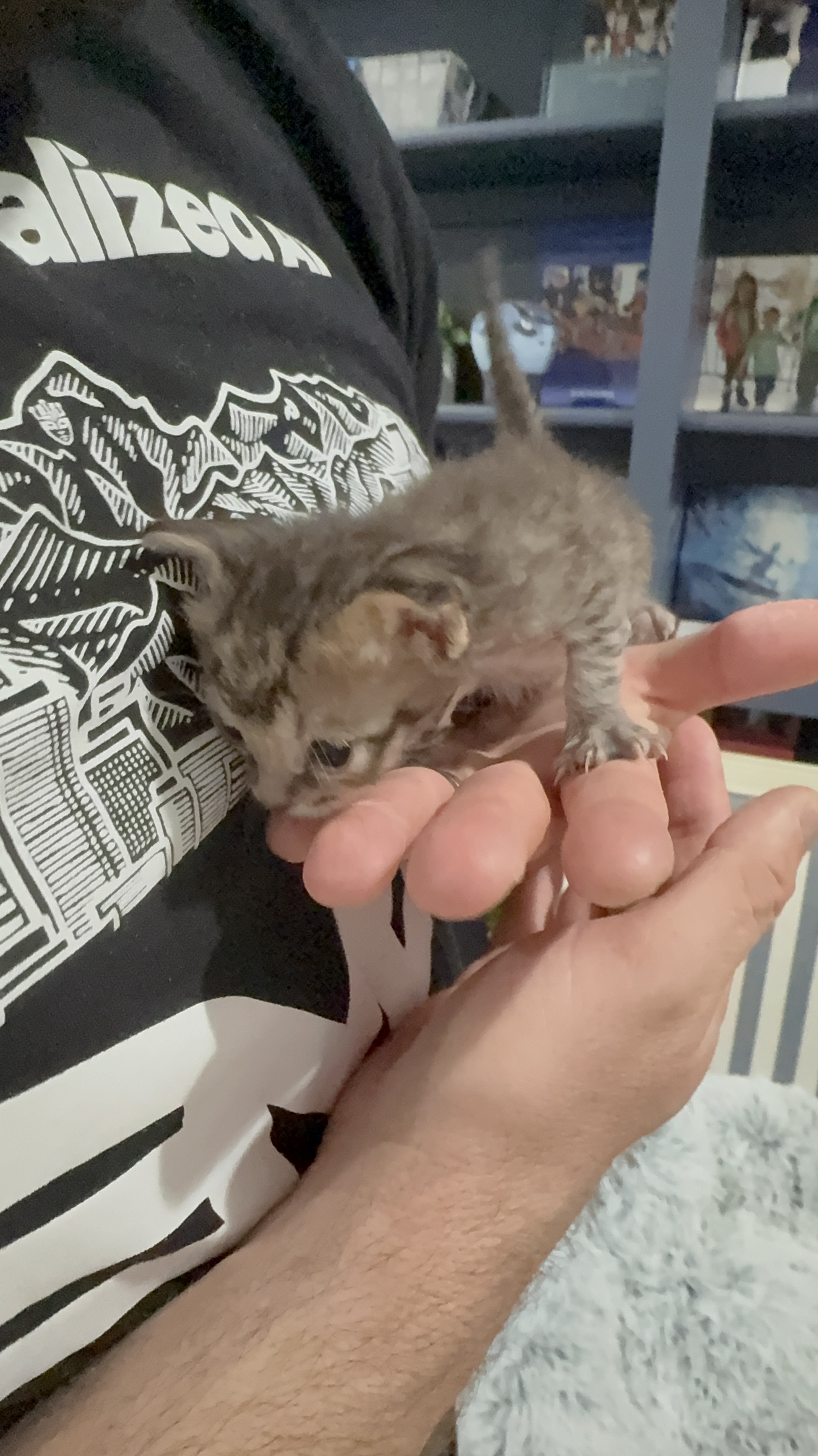 Picture of the Animal Listed