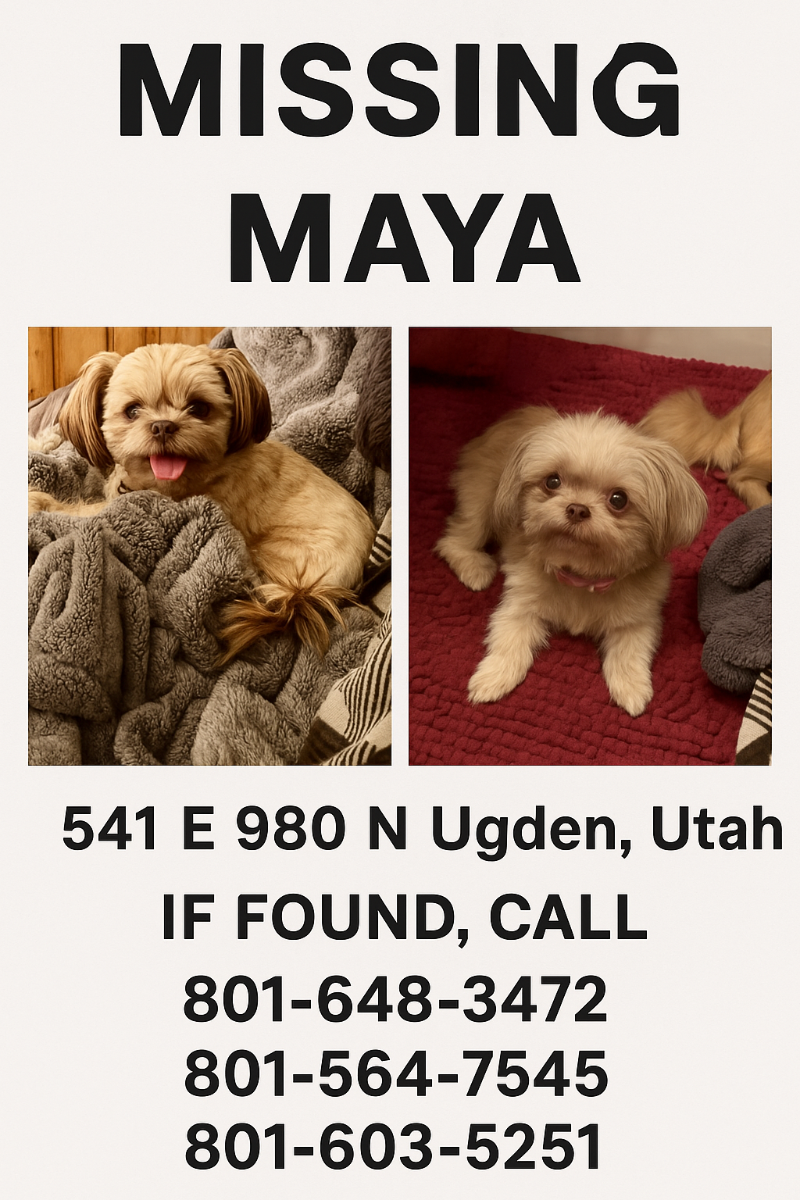Picture of the Animal Listed