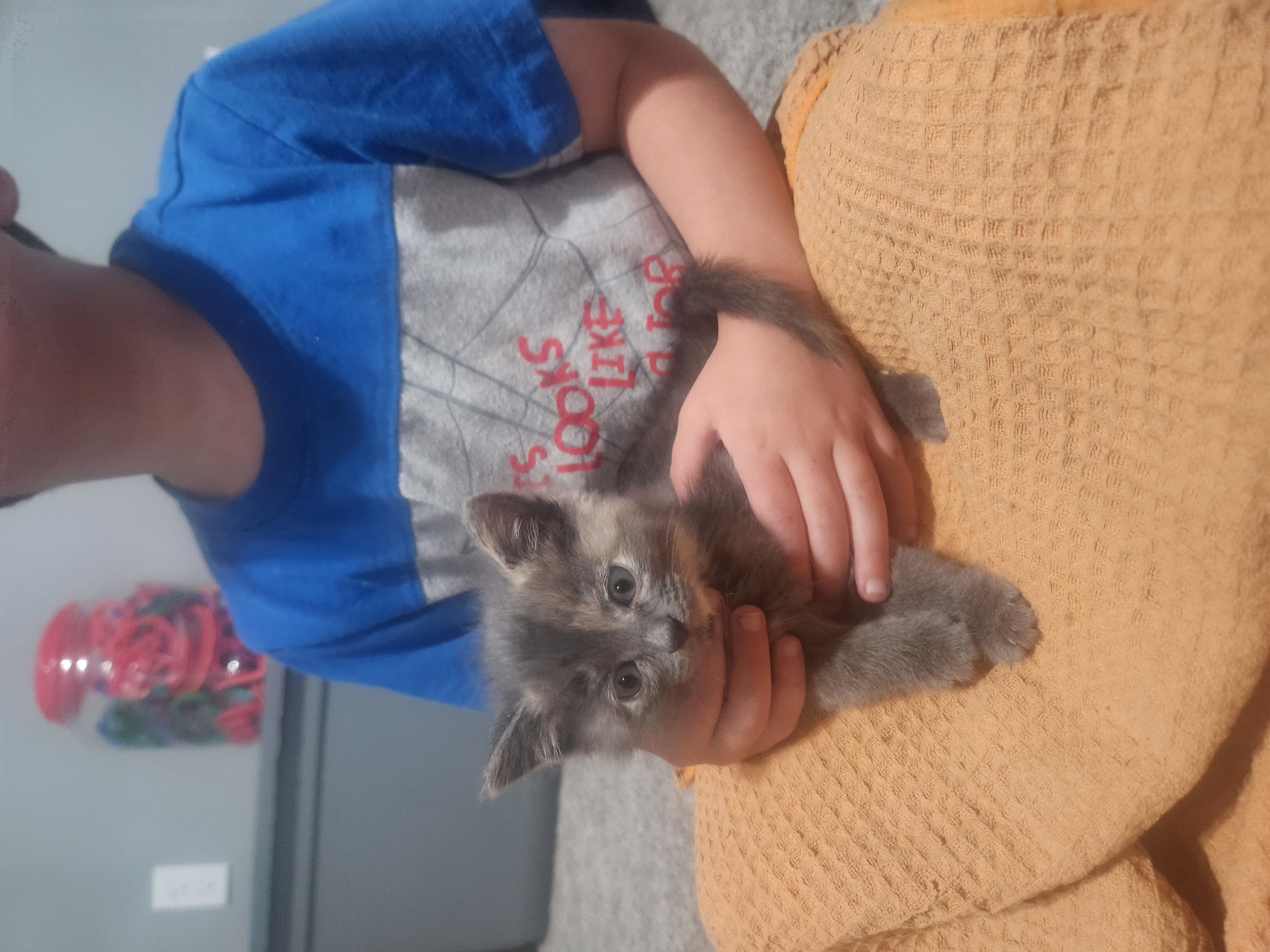 Picture of the Animal Listed