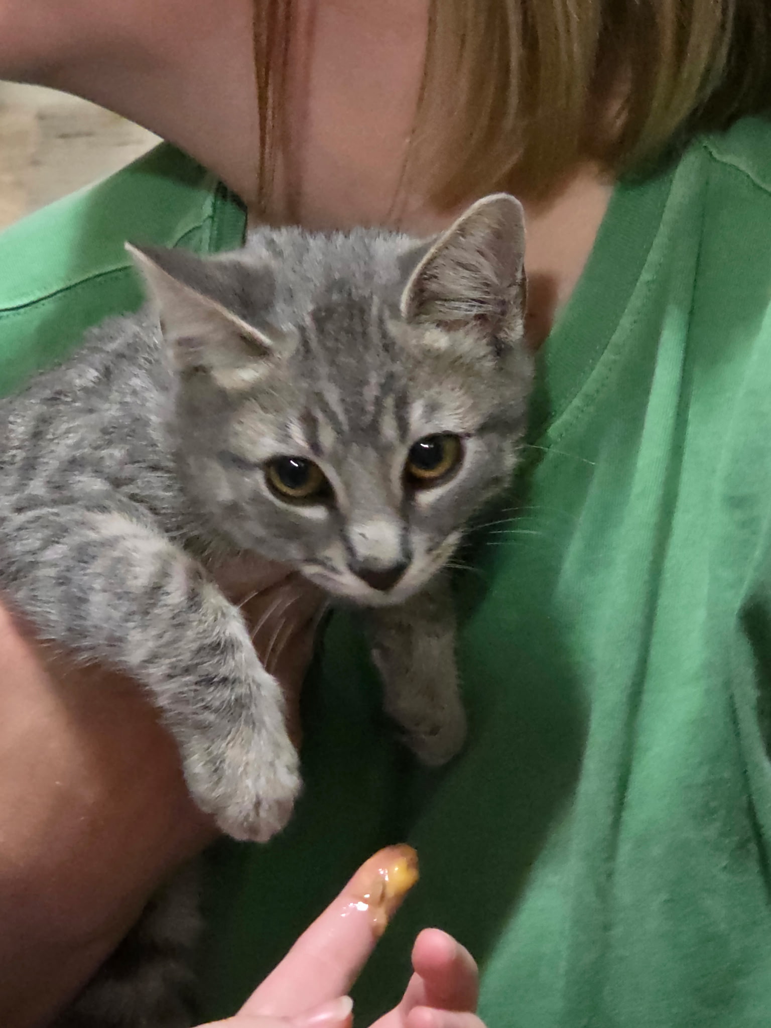 Picture of the Animal Listed