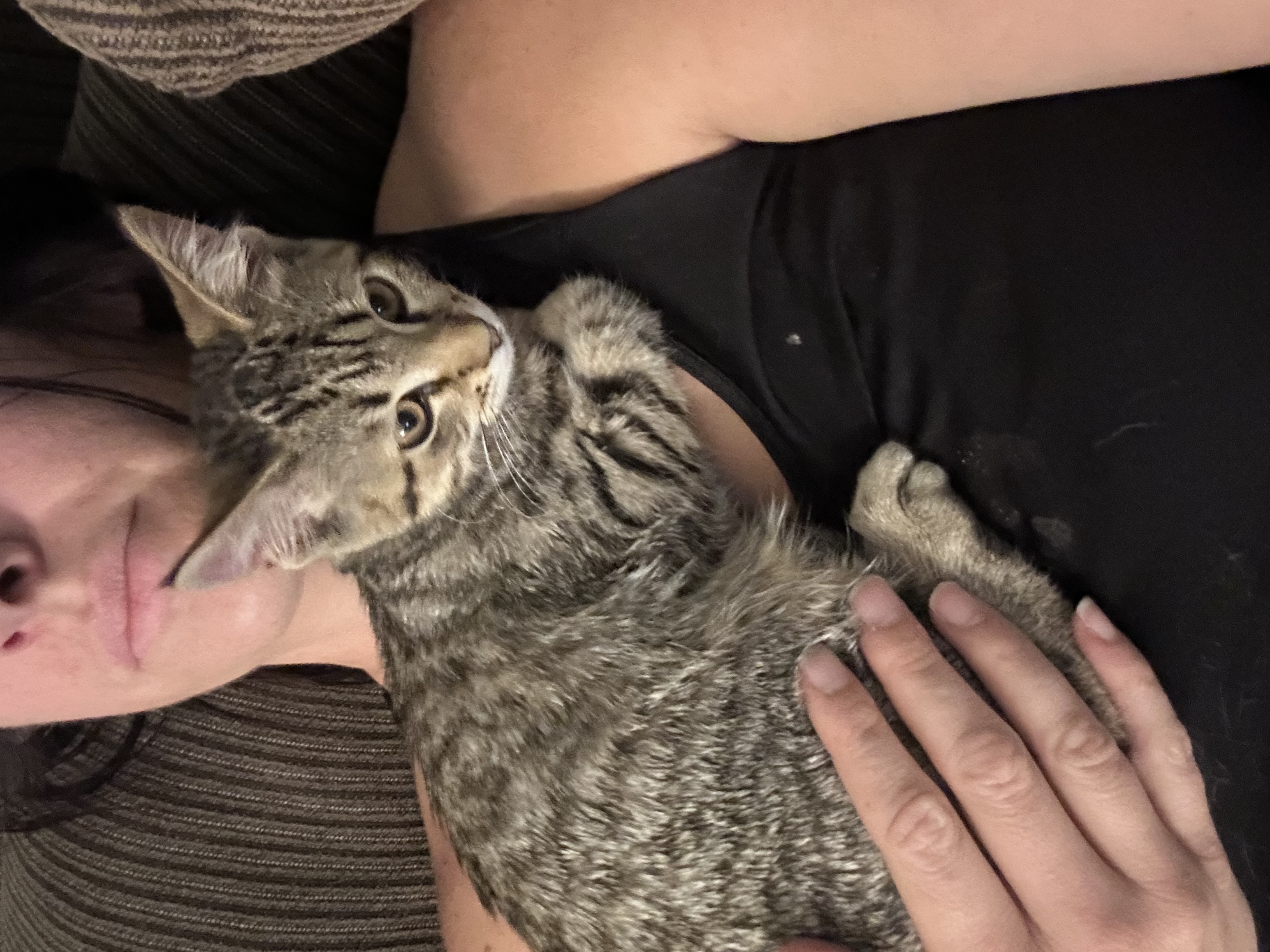 Picture of the Animal Listed