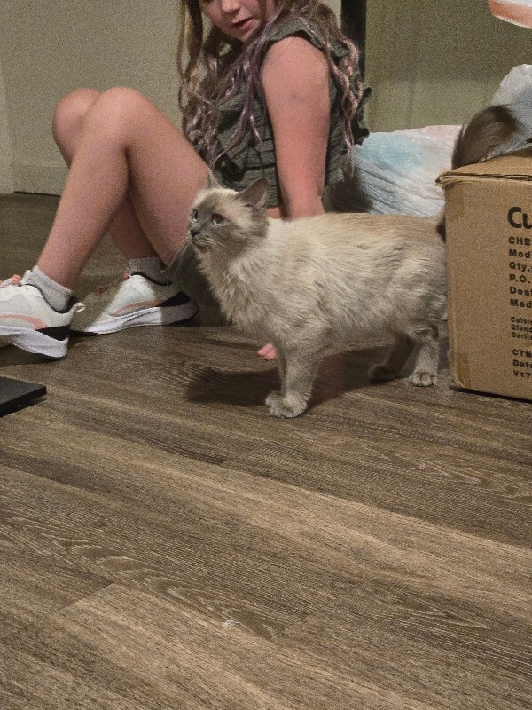 Picture of the Animal Listed