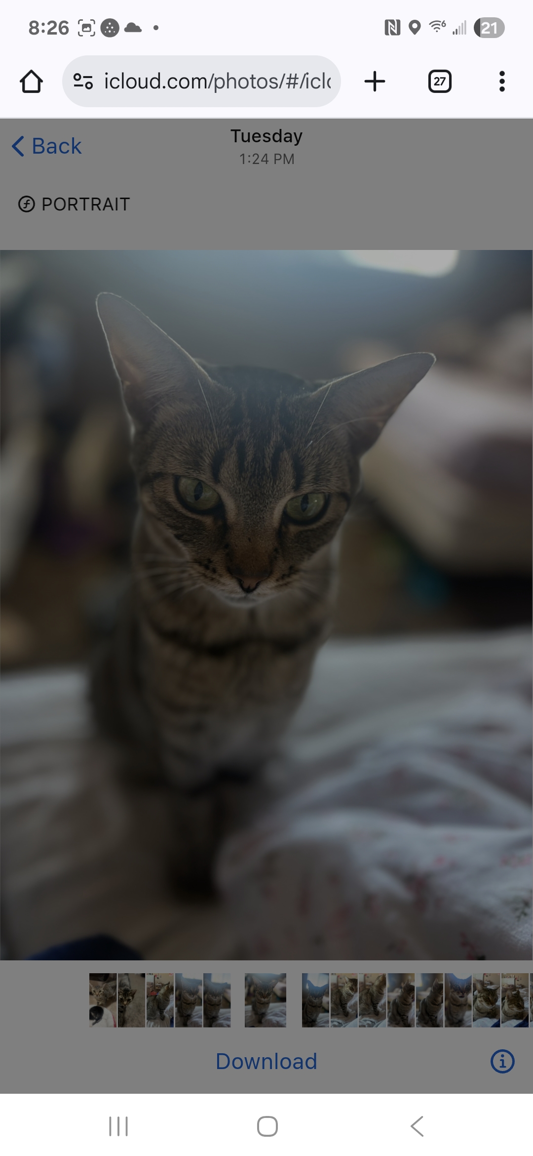 Picture of the Animal Listed