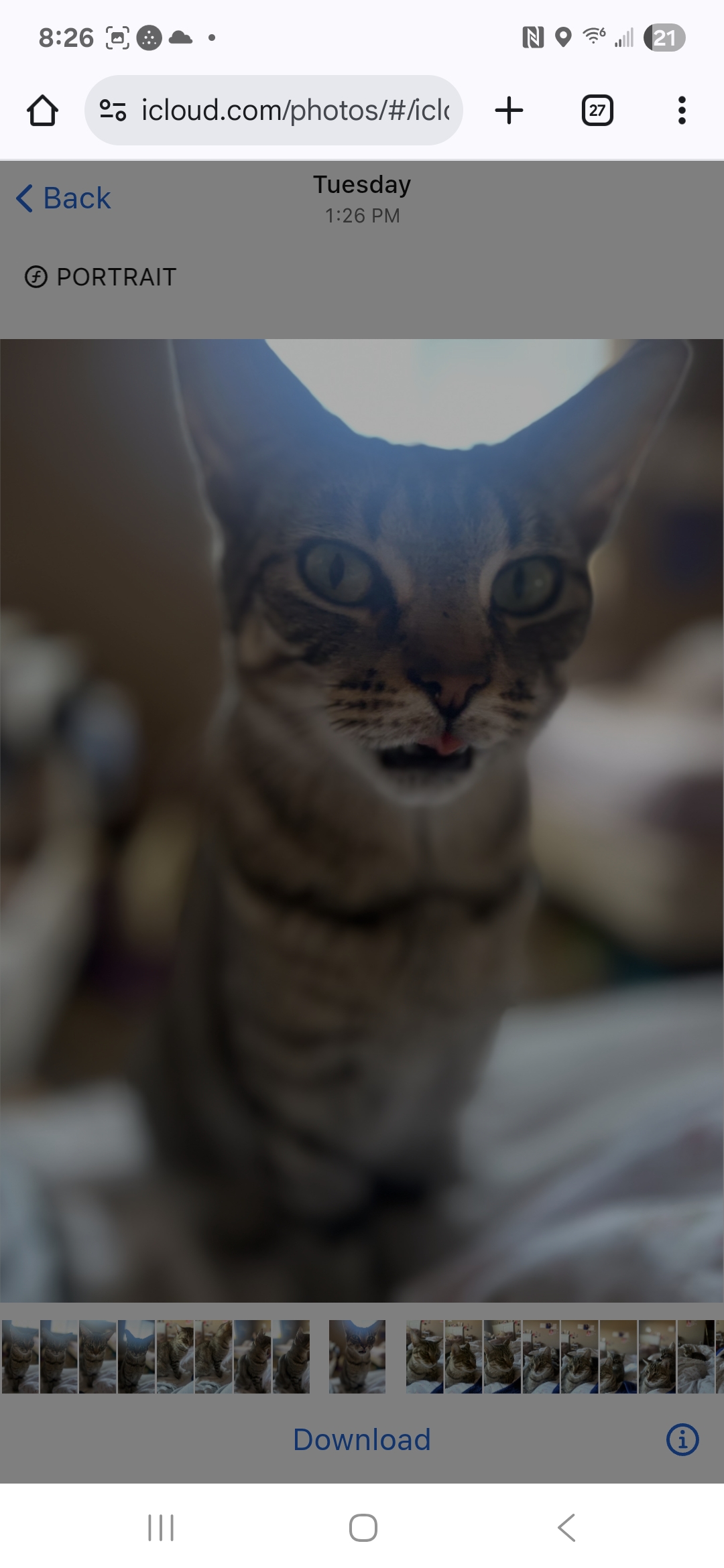 Picture of the Animal Listed