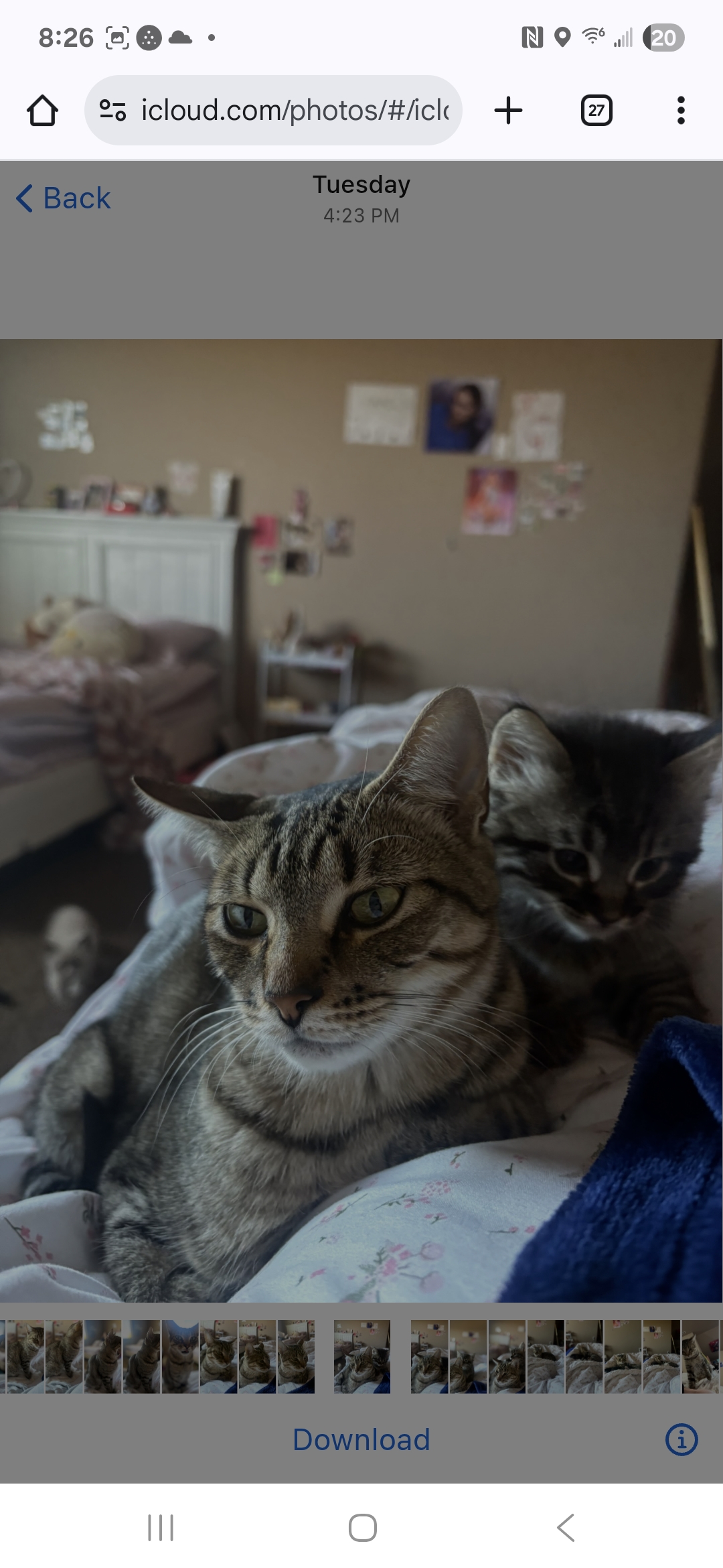 Picture of the Animal Listed