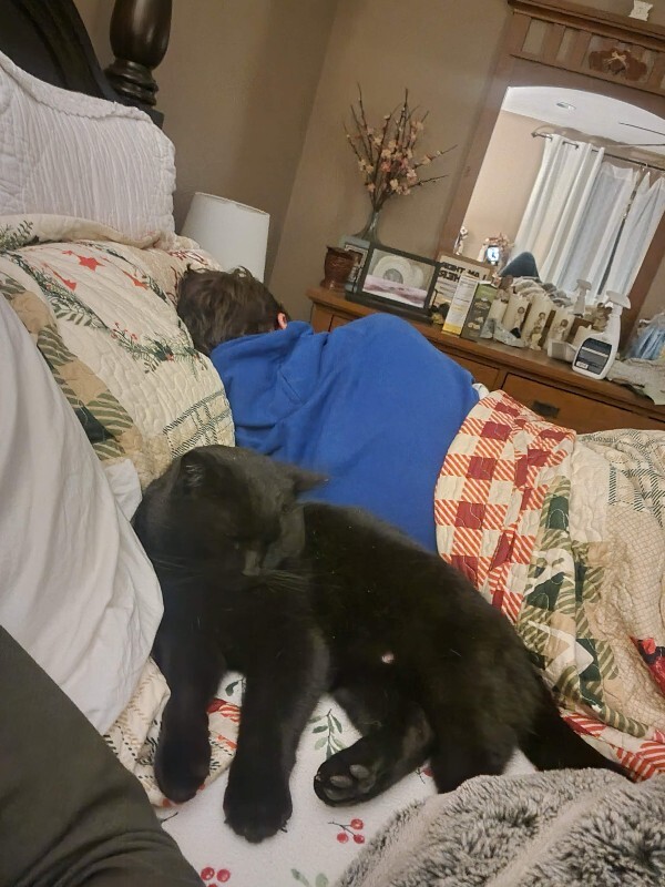 Picture of the Animal Listed