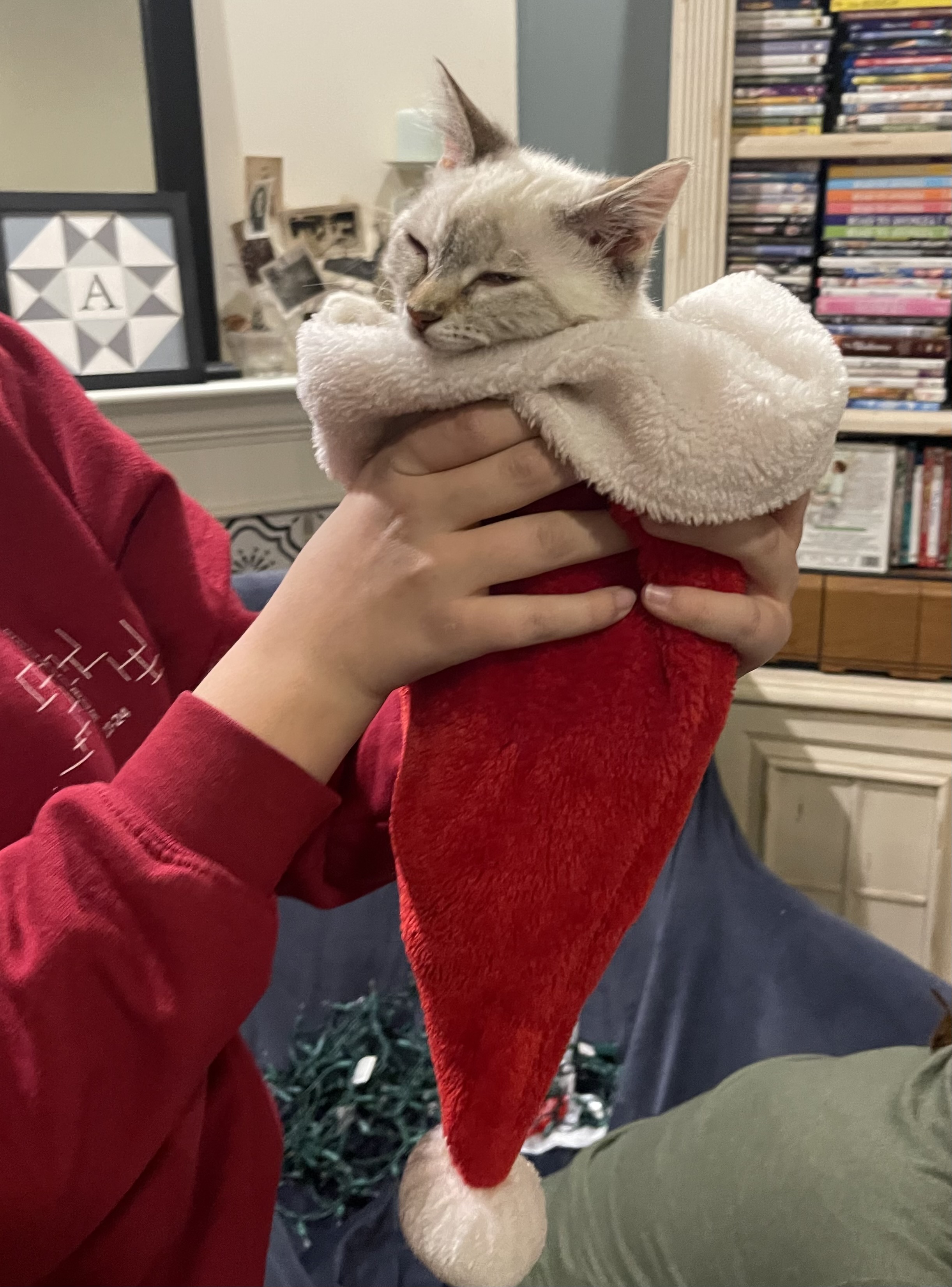 Picture of the Animal Listed