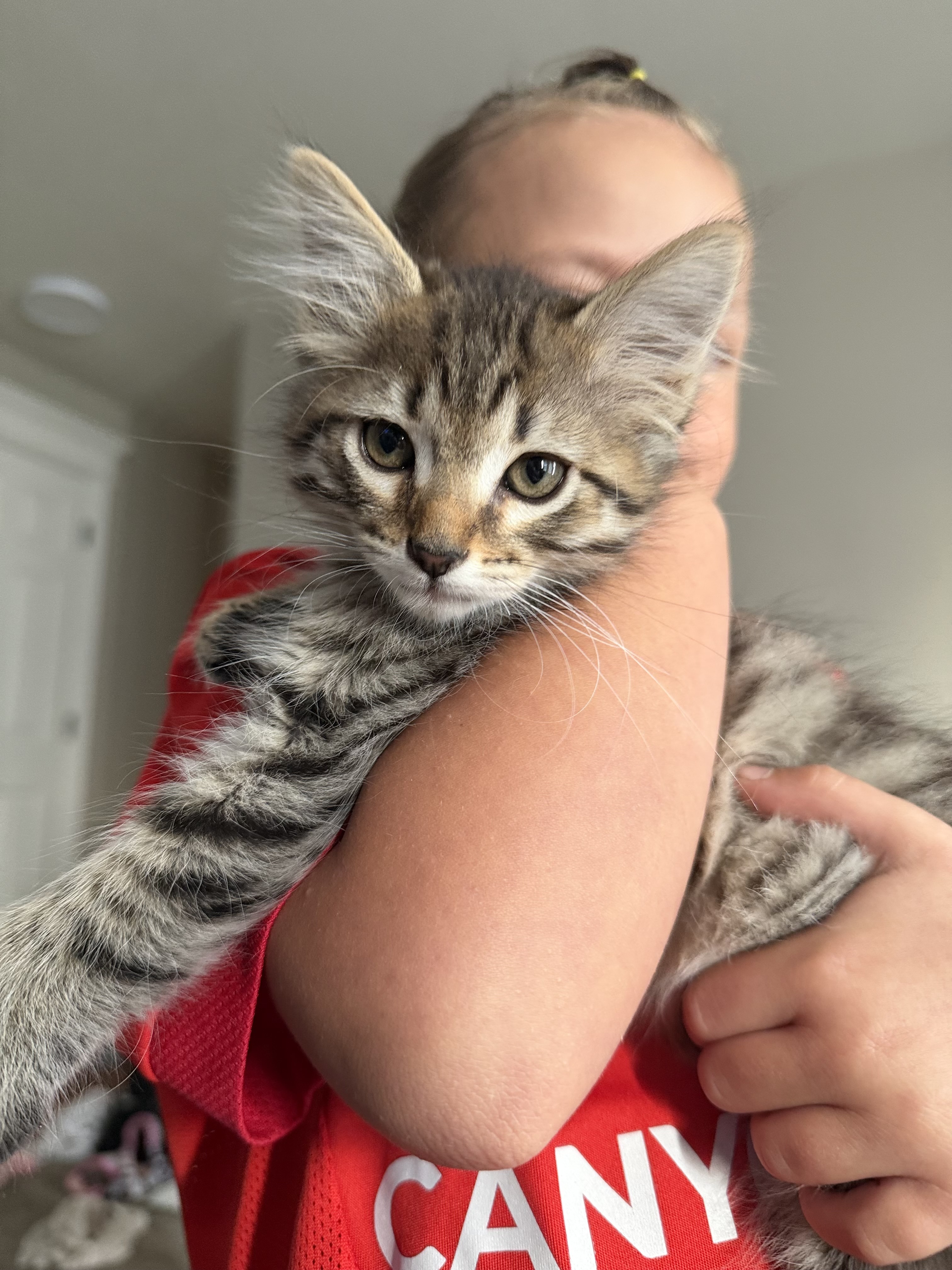 Picture of the Animal Listed