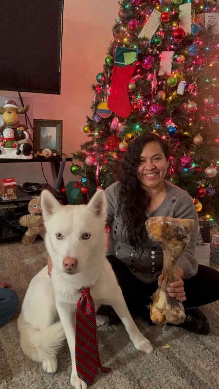 Picture of the Animal Listed