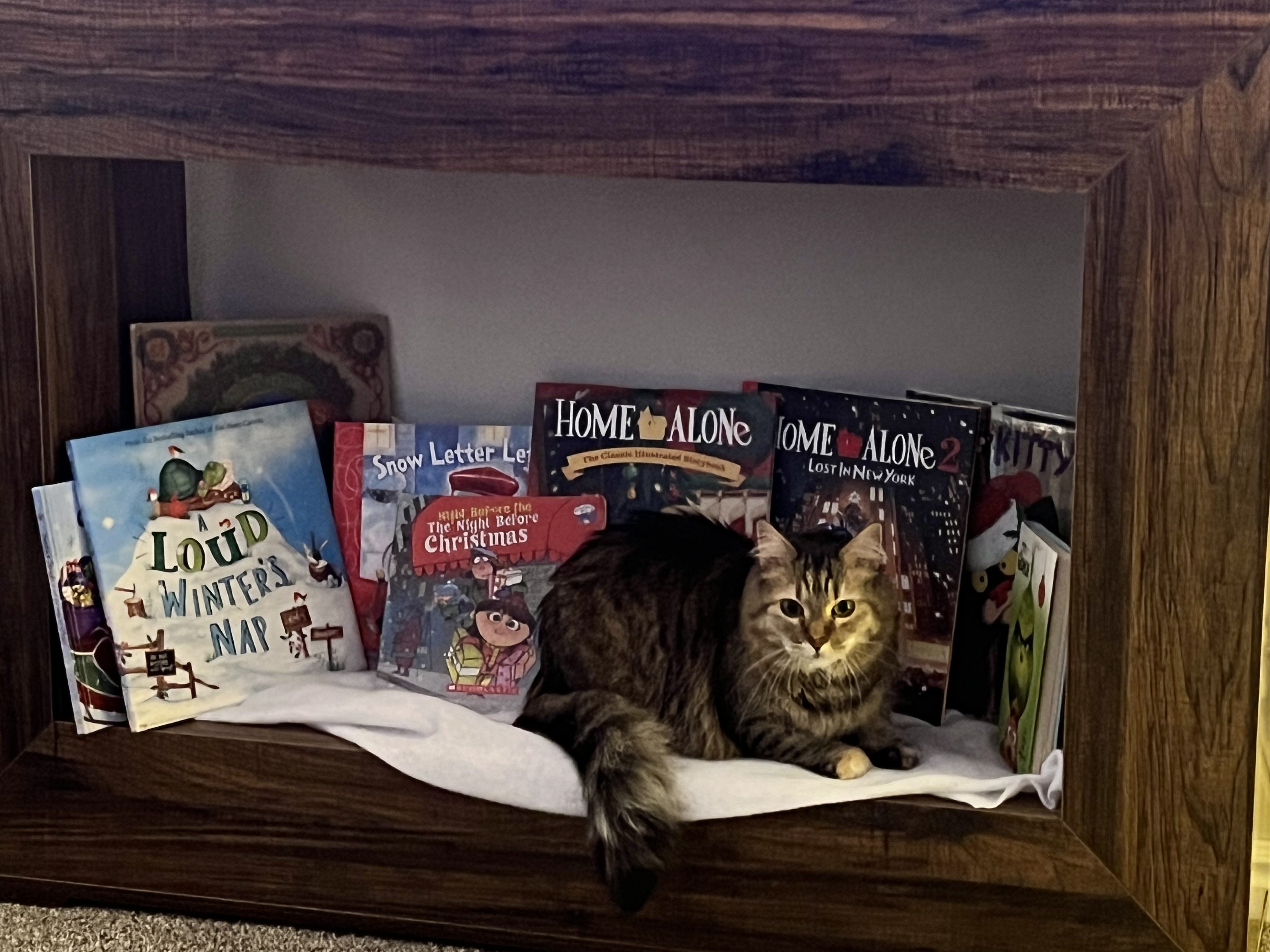 Picture of the Animal Listed