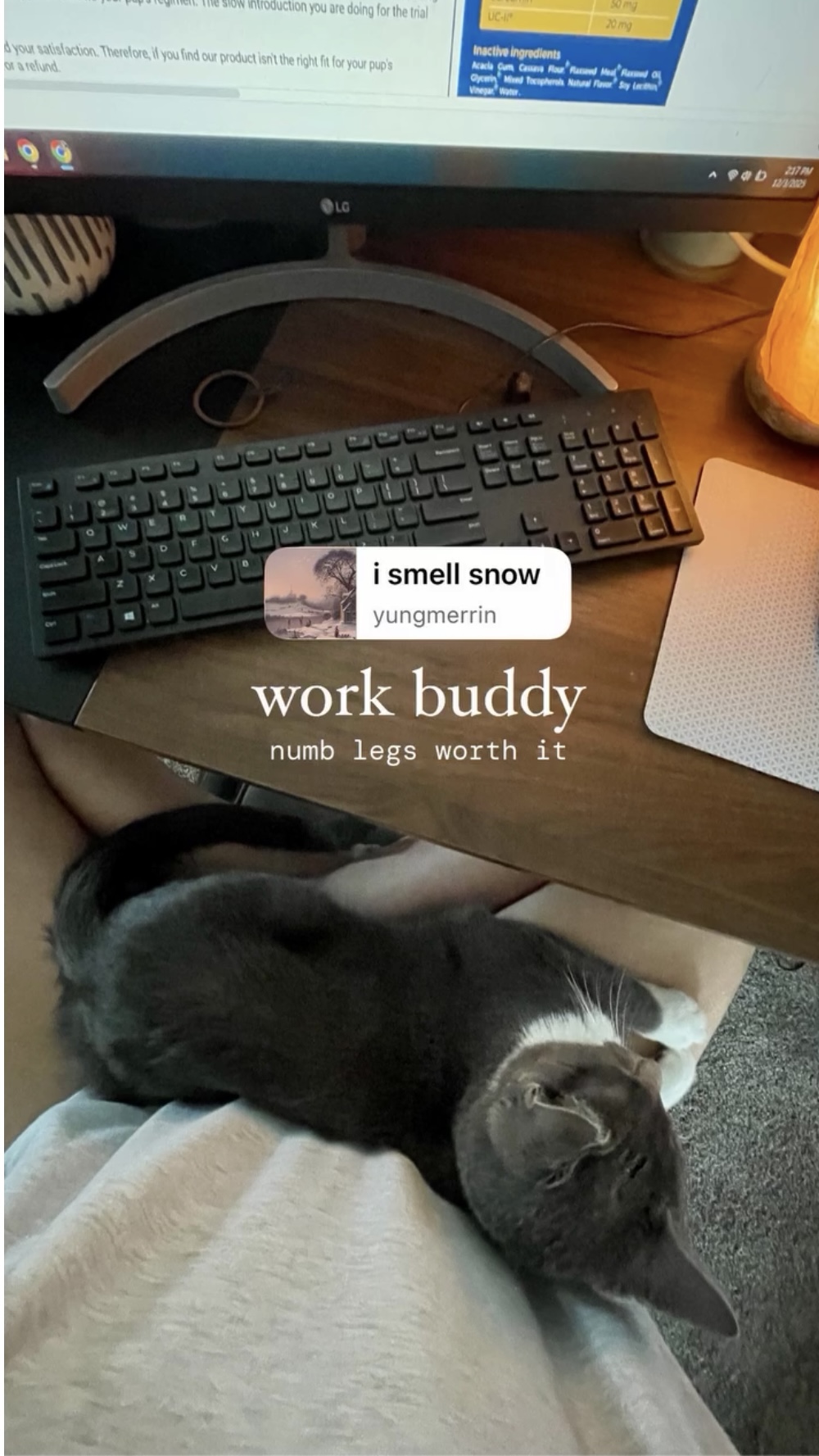 Picture of the Animal Listed