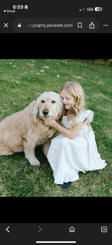 Picture of the Animal Listed