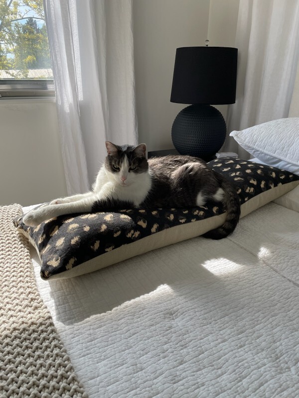 Picture of the Animal Listed