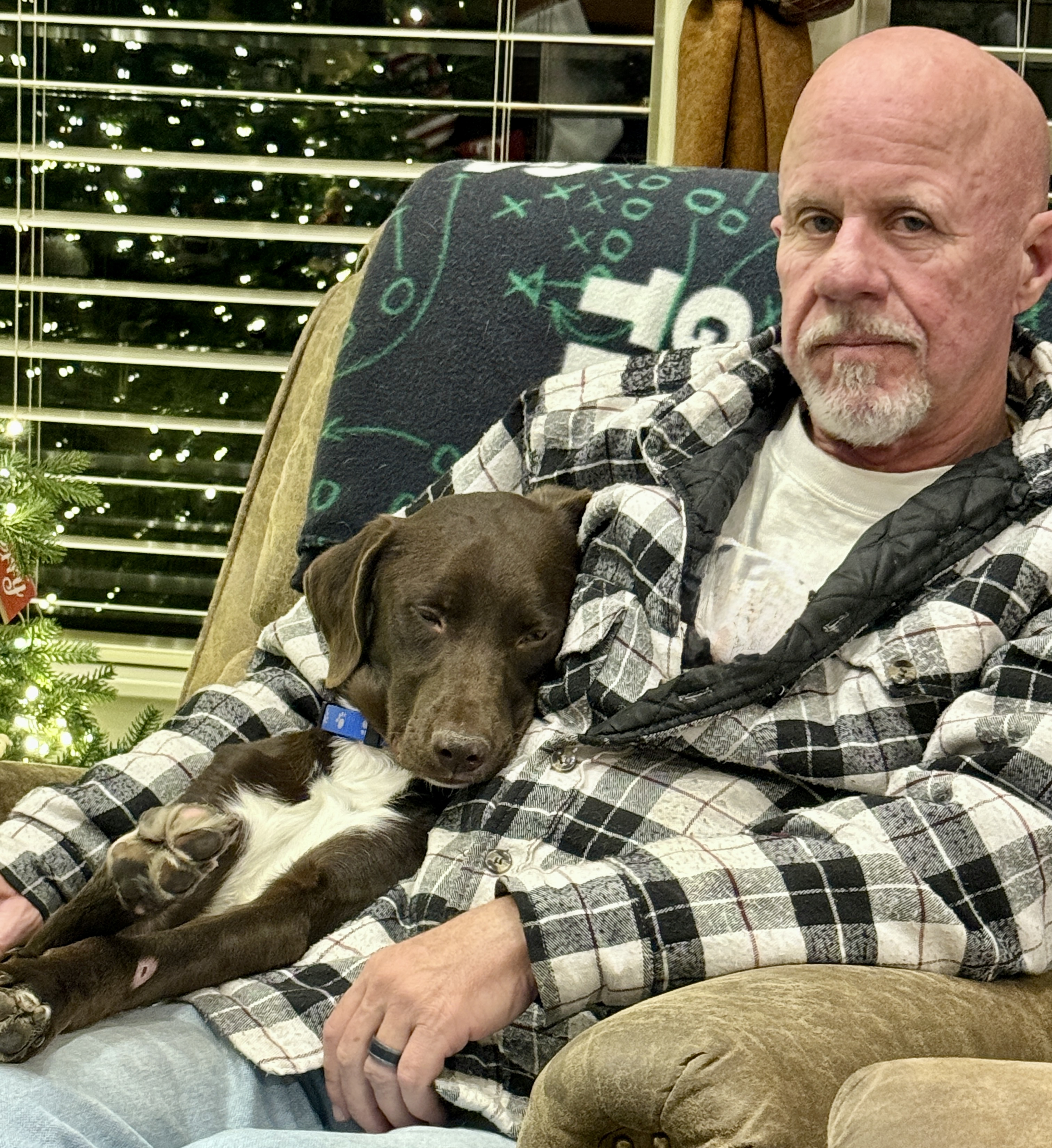 Picture of the Animal Listed