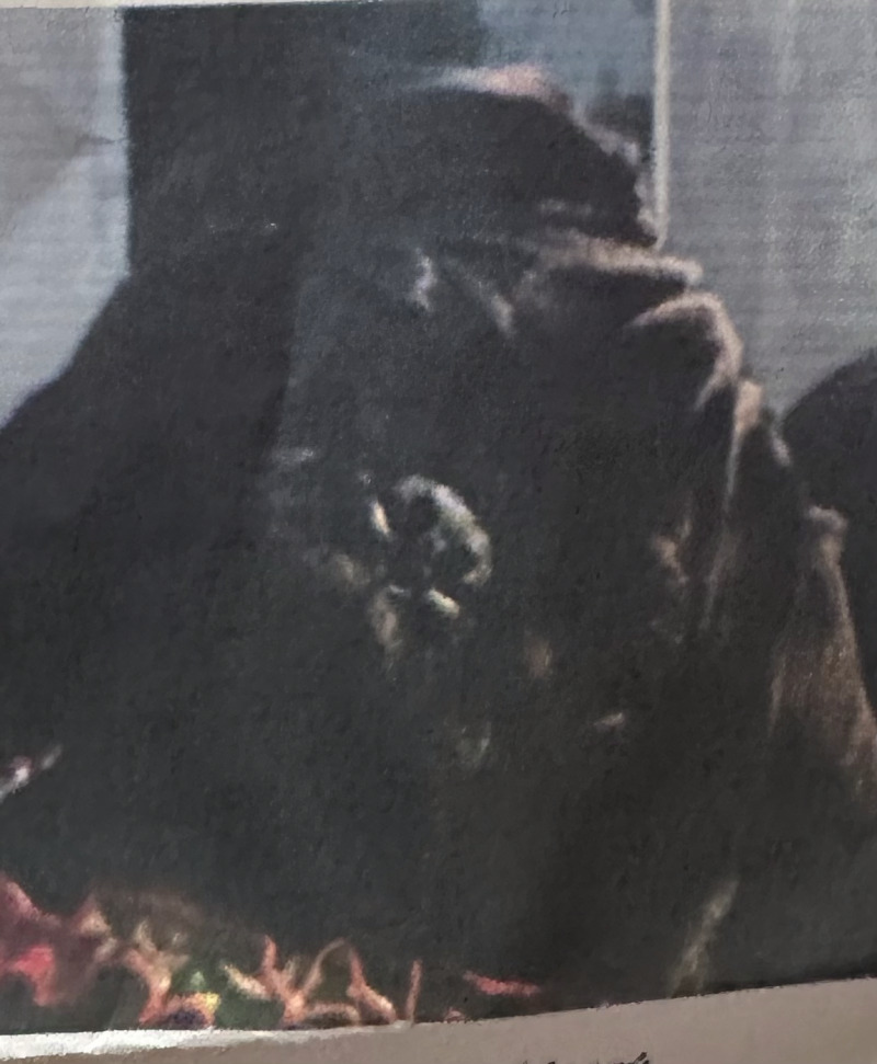 Picture of the Animal Listed