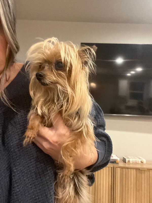 Picture of the Animal Listed