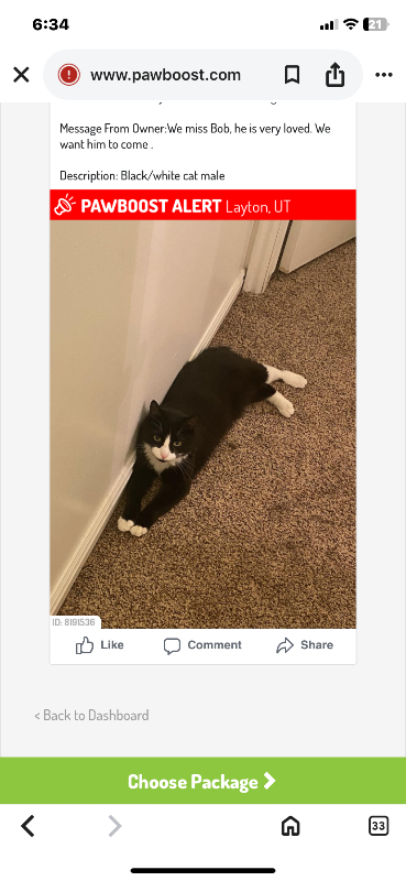 Picture of the Animal Listed