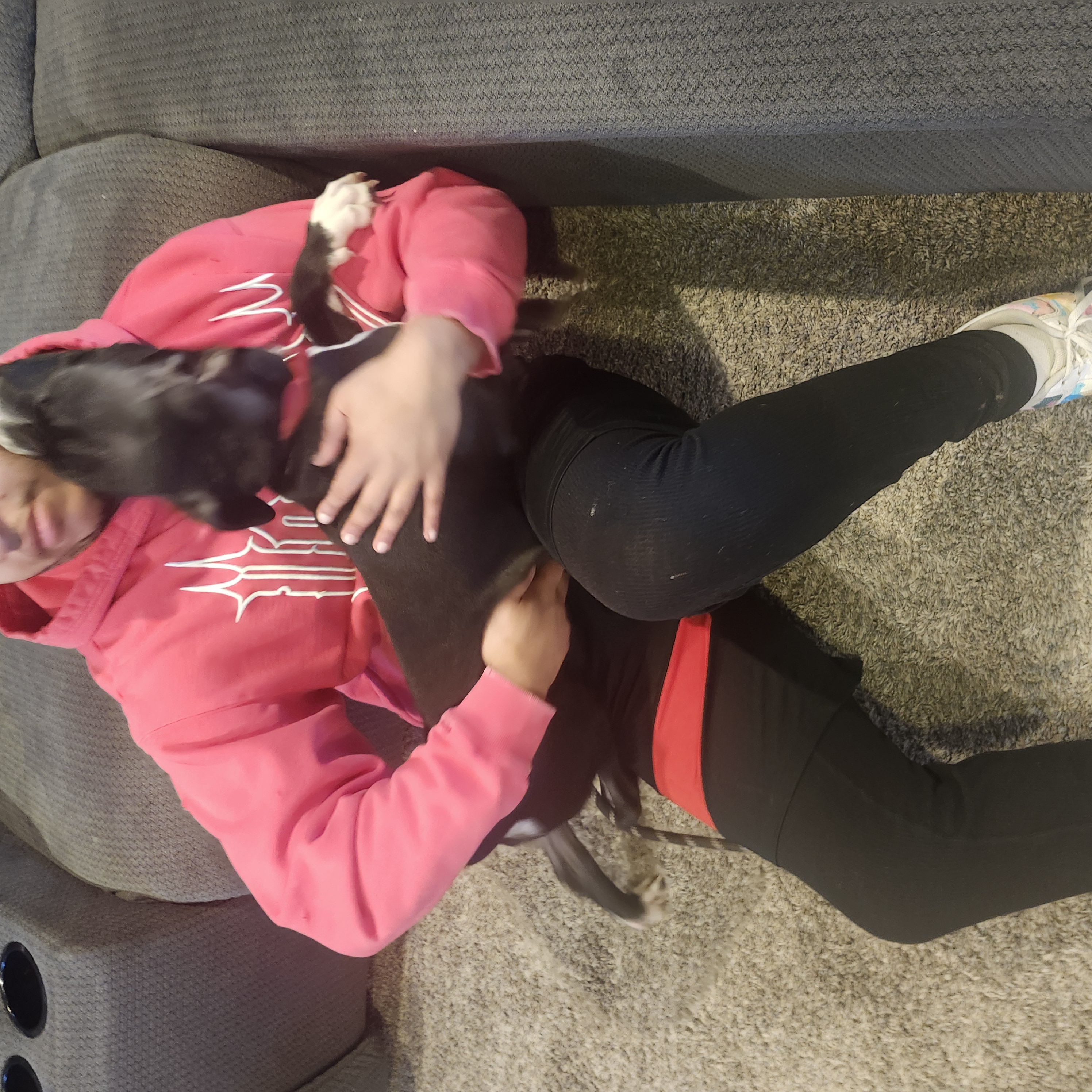 Picture of the Animal Listed