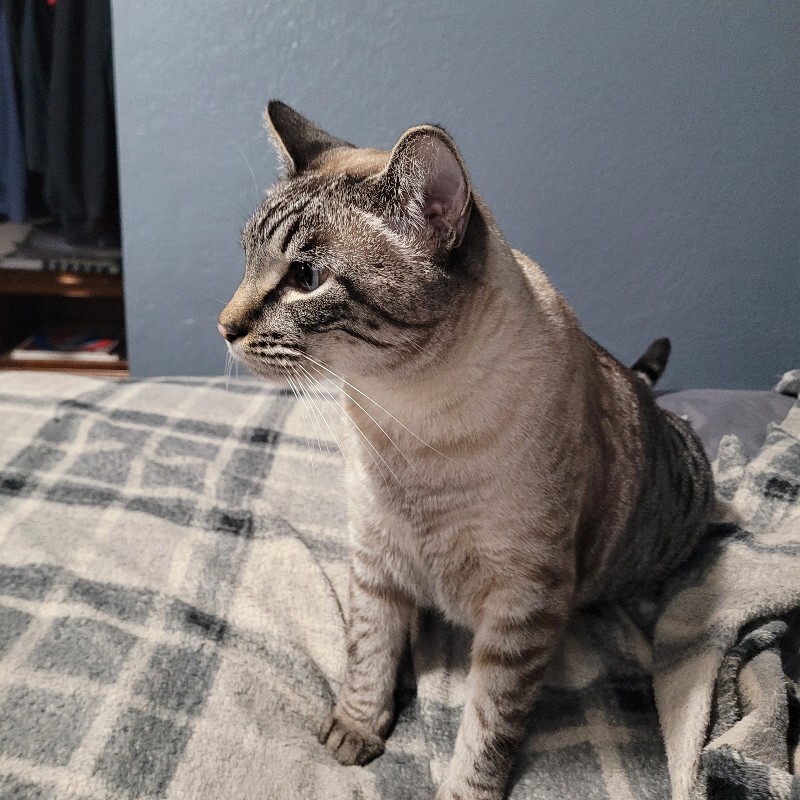 Picture of the Animal Listed