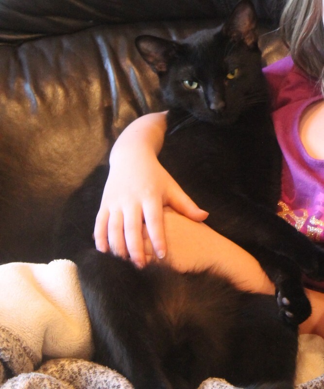 Picture of the Animal Listed