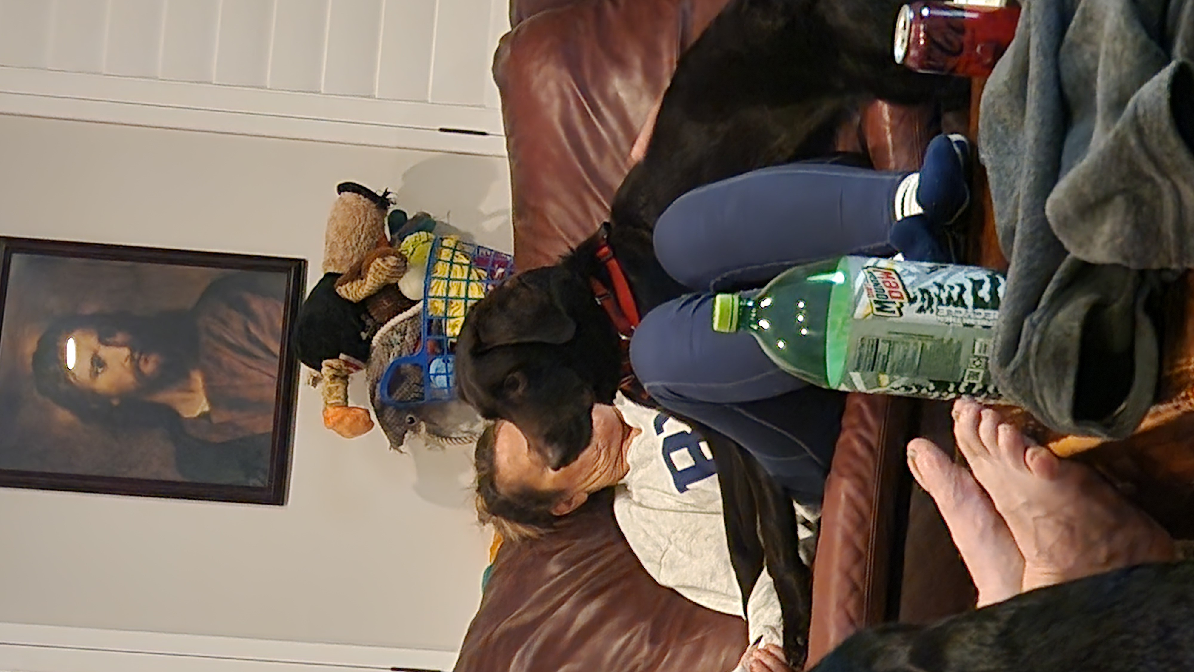 Picture of the Animal Listed