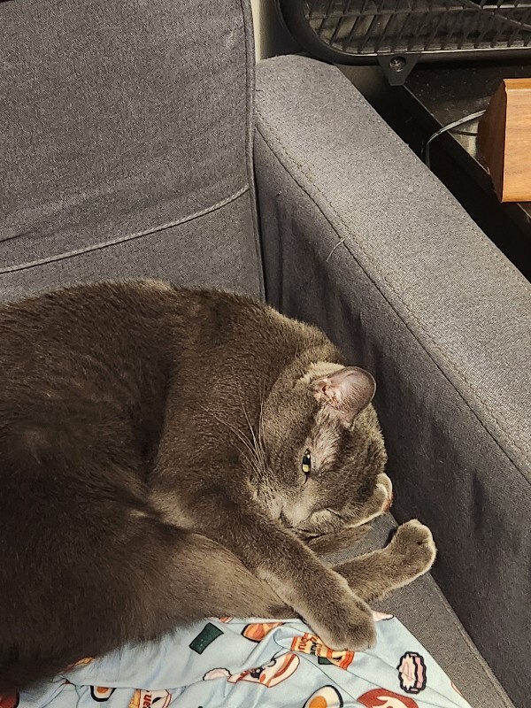 Picture of the Animal Listed