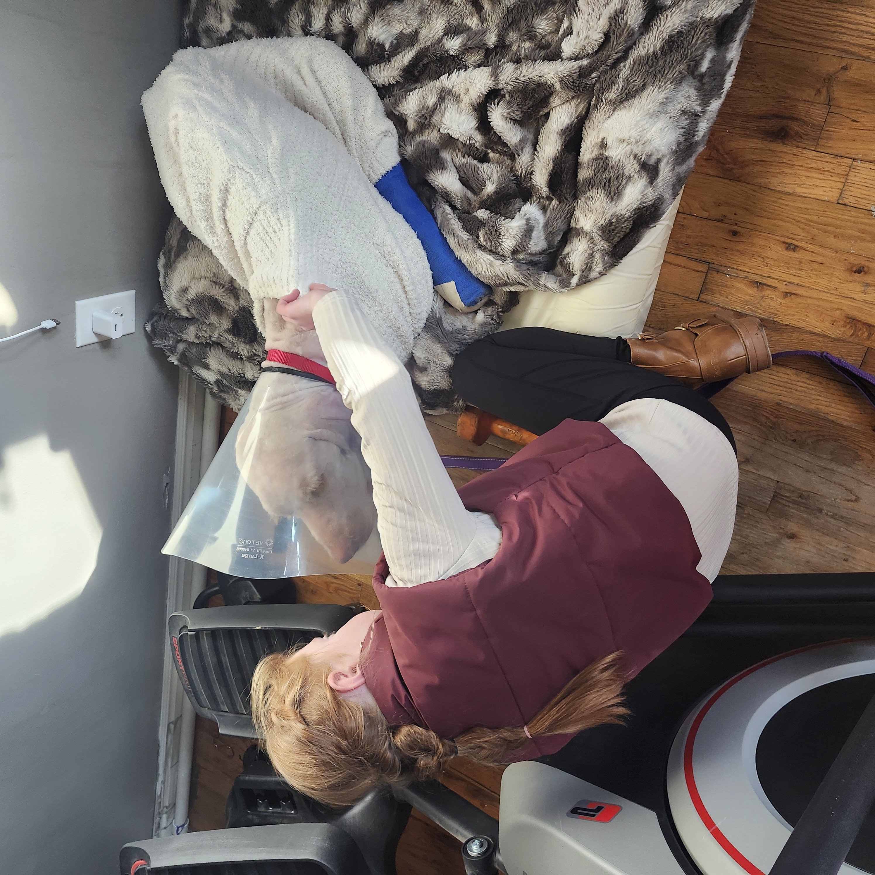 Picture of the Animal Listed