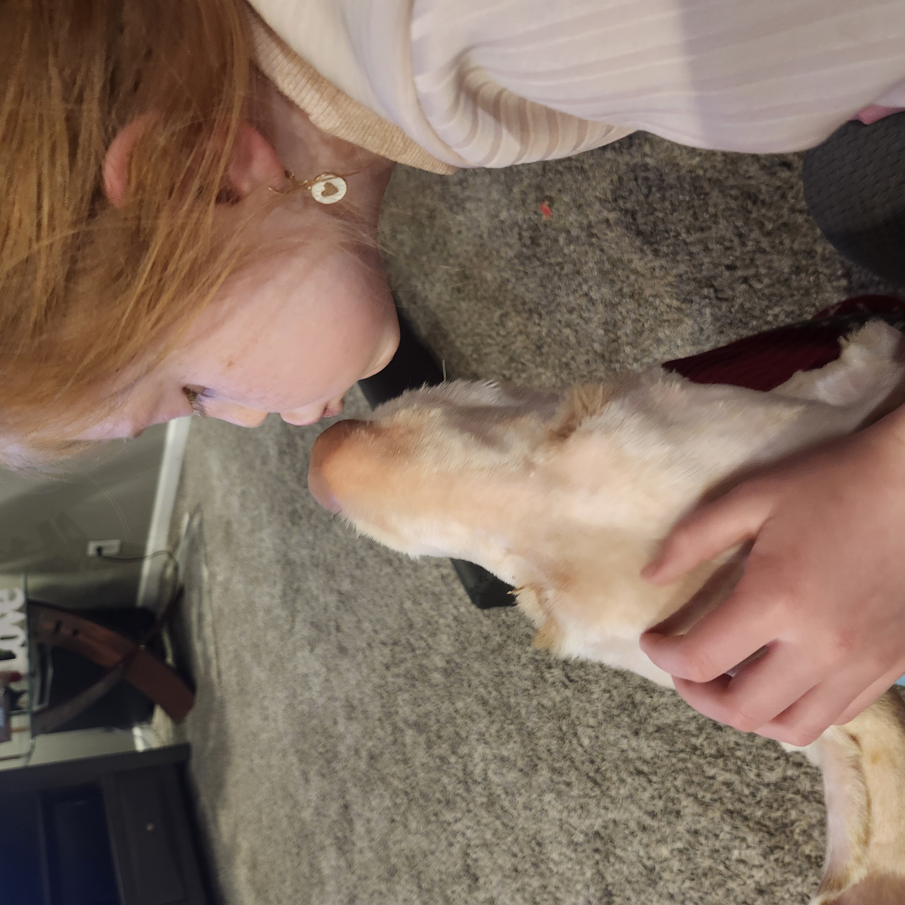 Picture of the Animal Listed