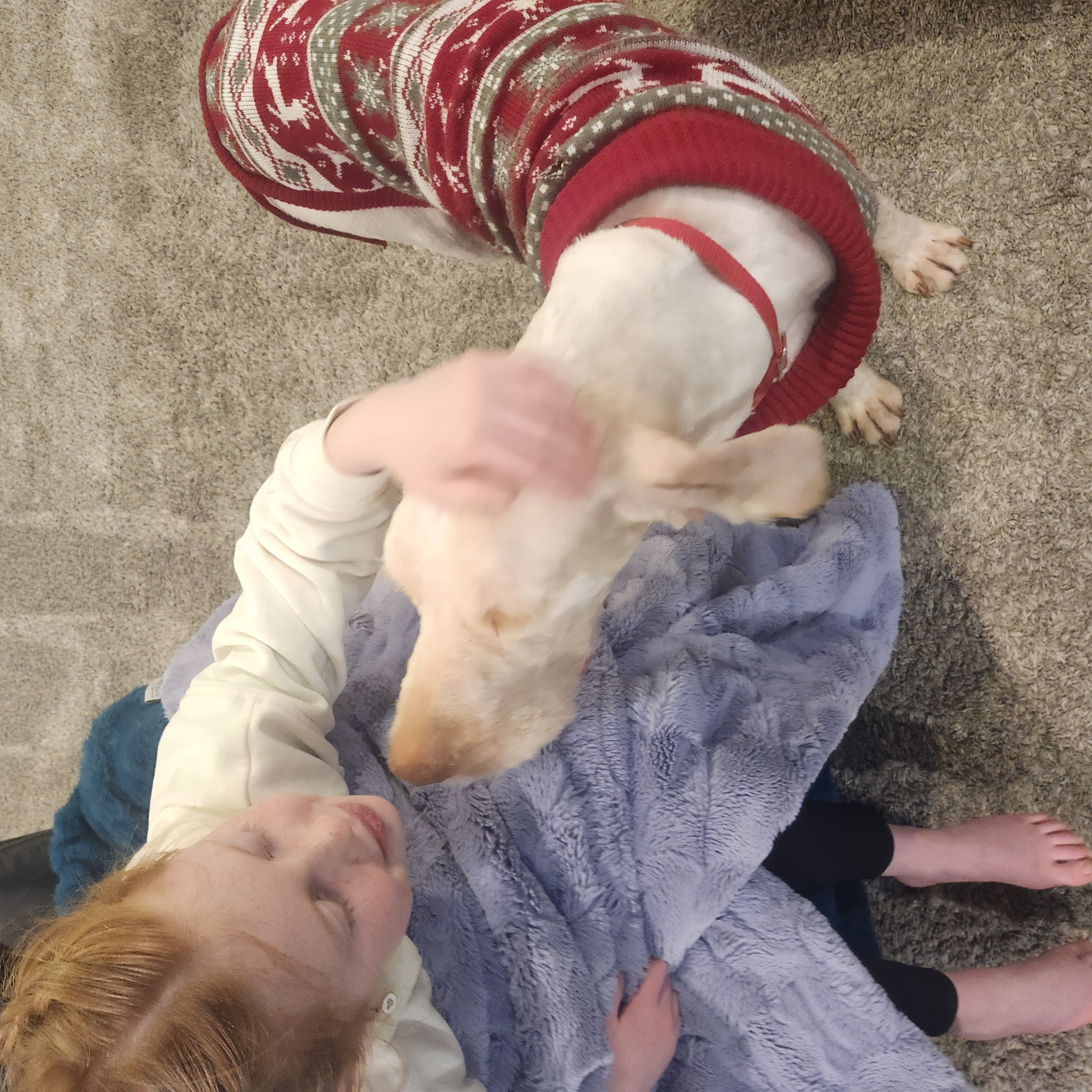 Picture of the Animal Listed