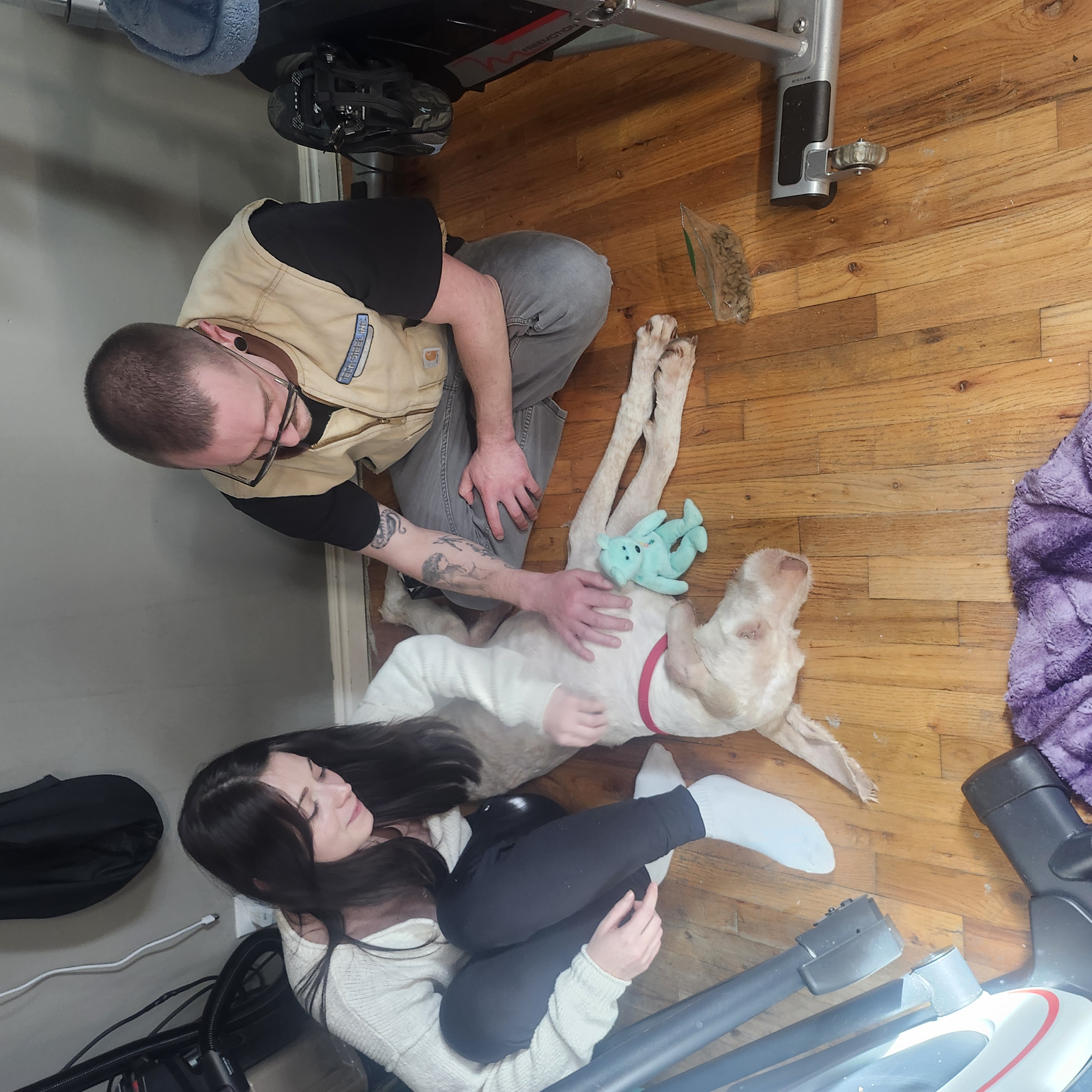 Picture of the Animal Listed