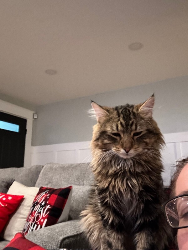 Picture of the Animal Listed