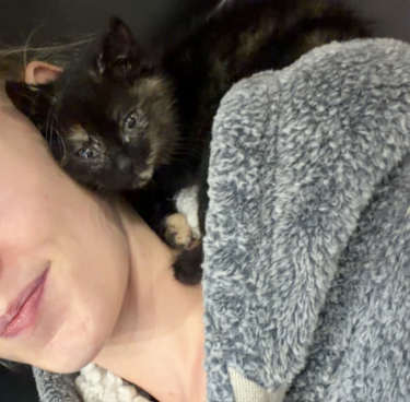 Picture of the Animal Listed