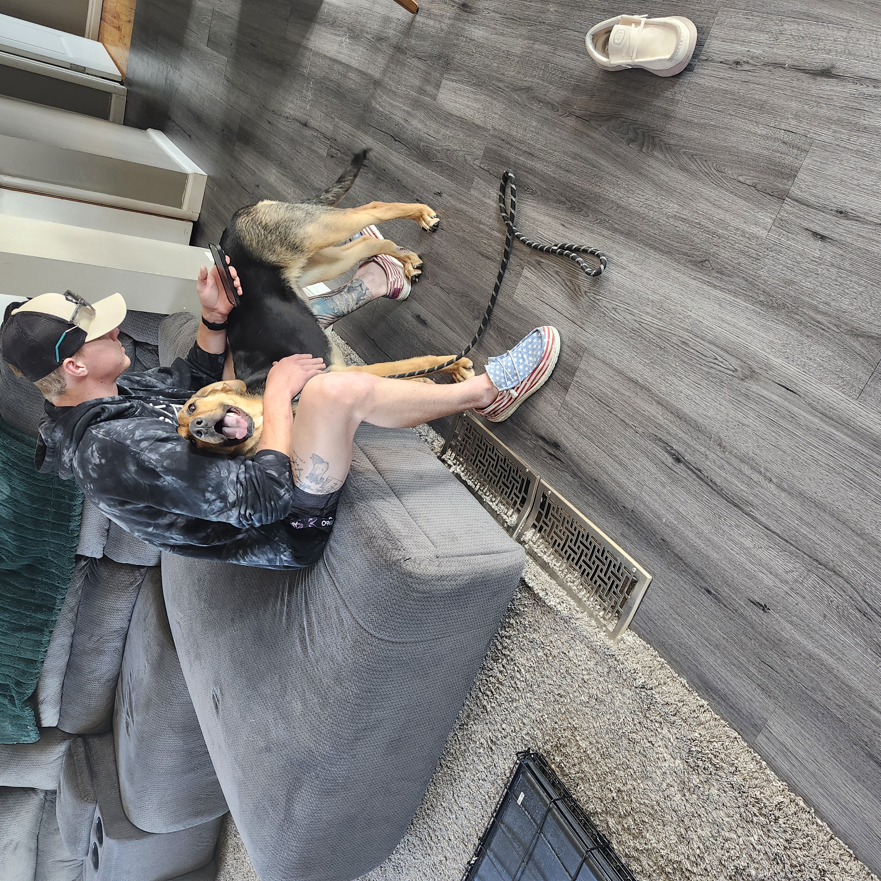 Picture of the Animal Listed