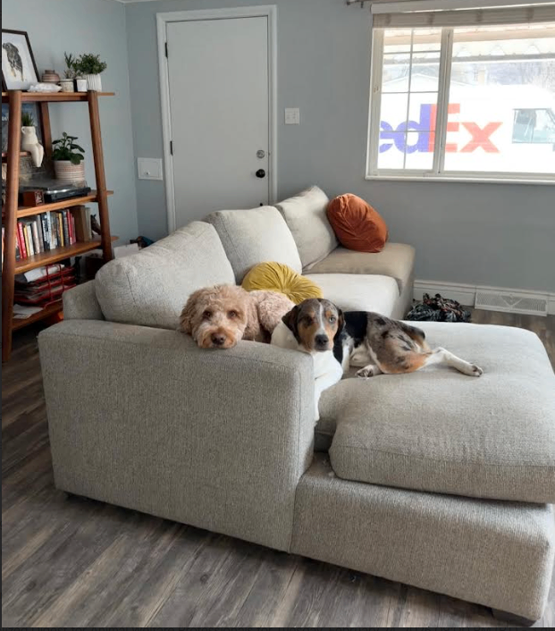 Picture of the Animal Listed