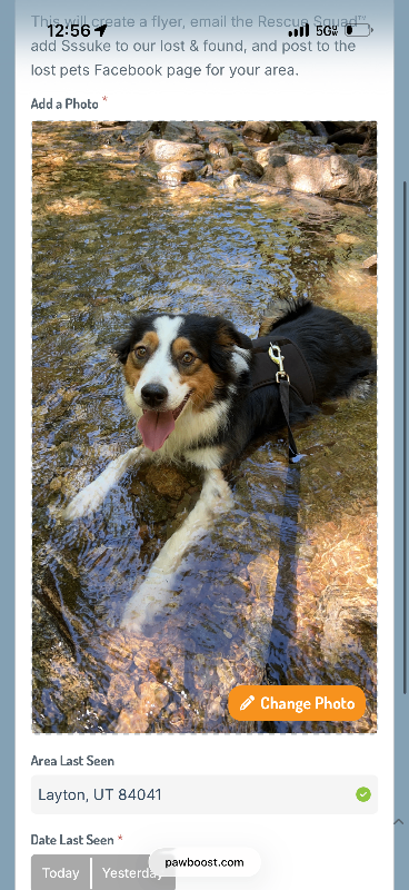 Picture of the Animal Listed