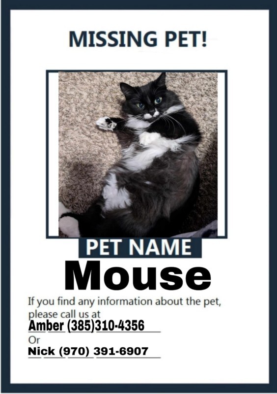 Picture of the Animal Listed