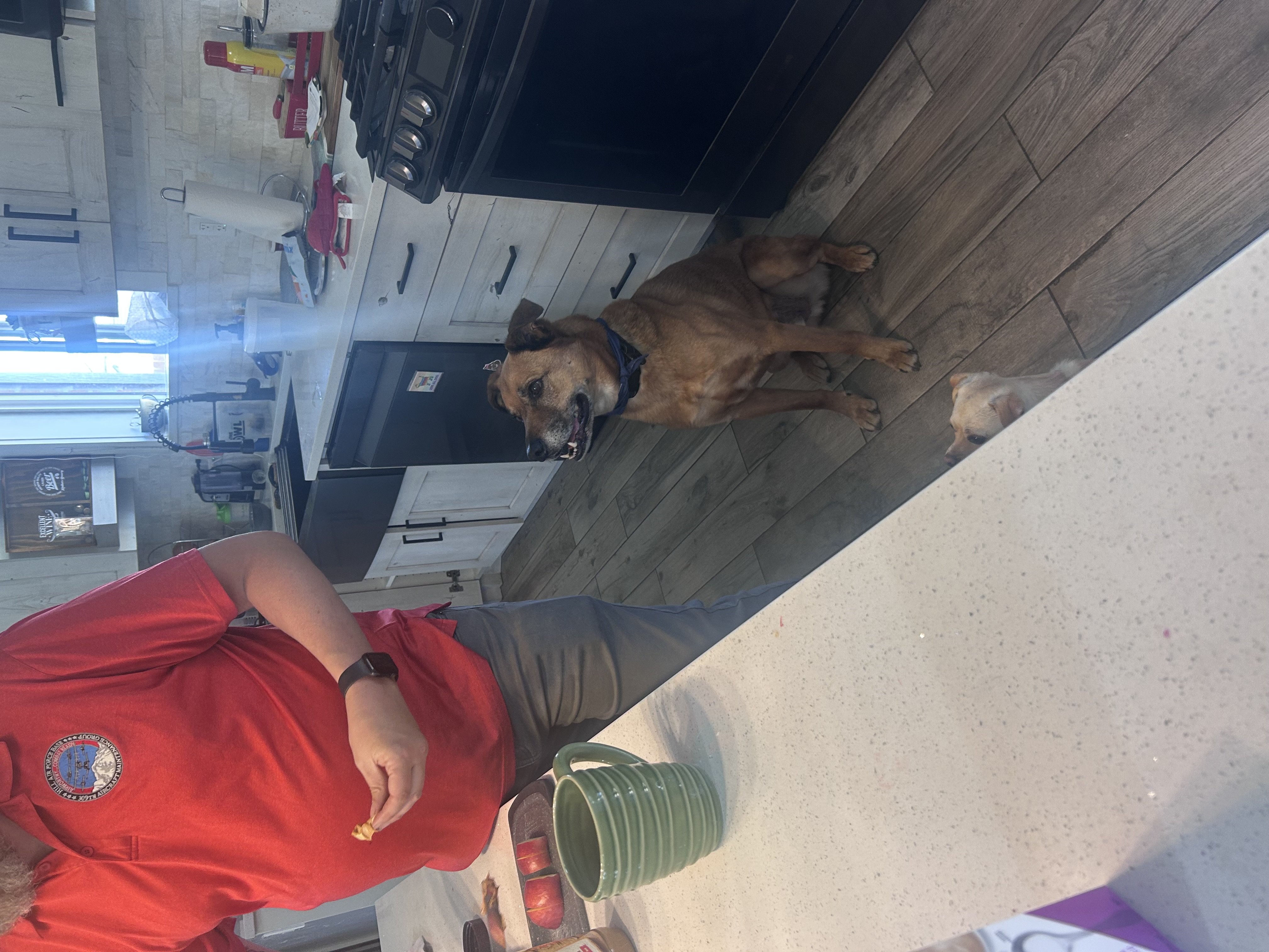 Picture of the Animal Listed