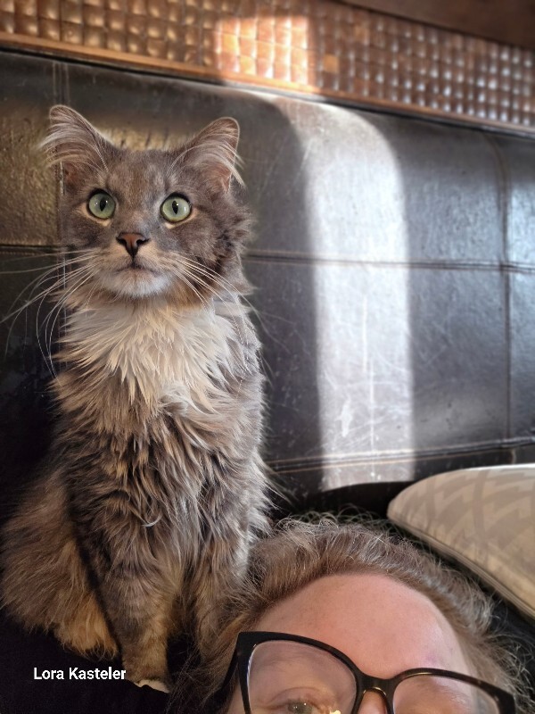 Picture of the Animal Listed