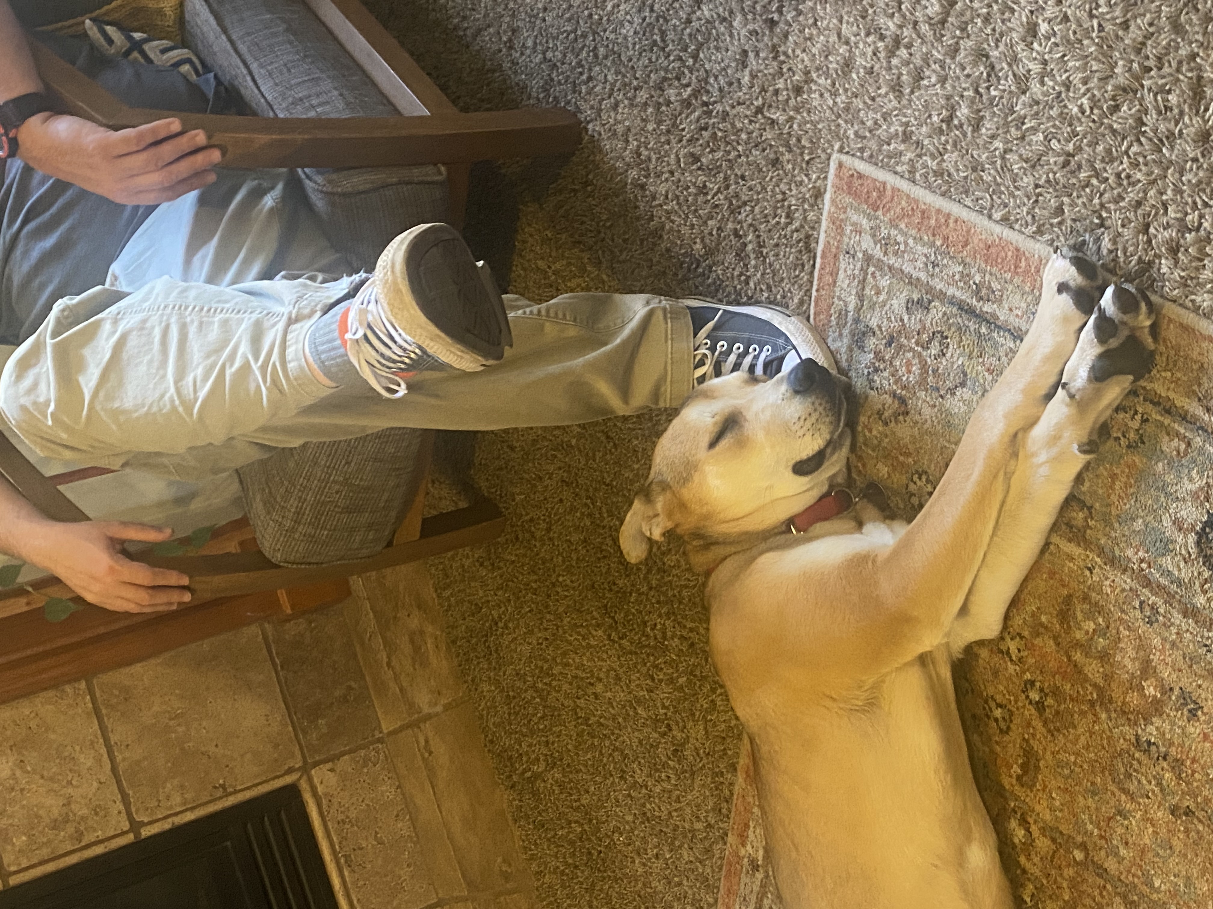 Picture of the Animal Listed