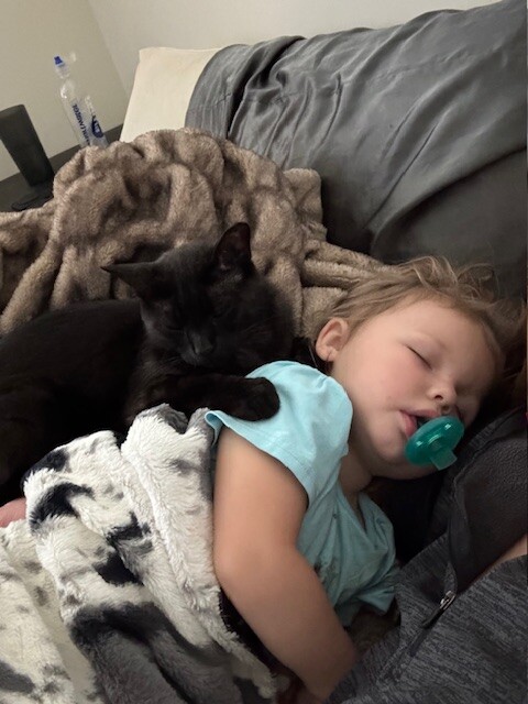 Picture of the Animal Listed