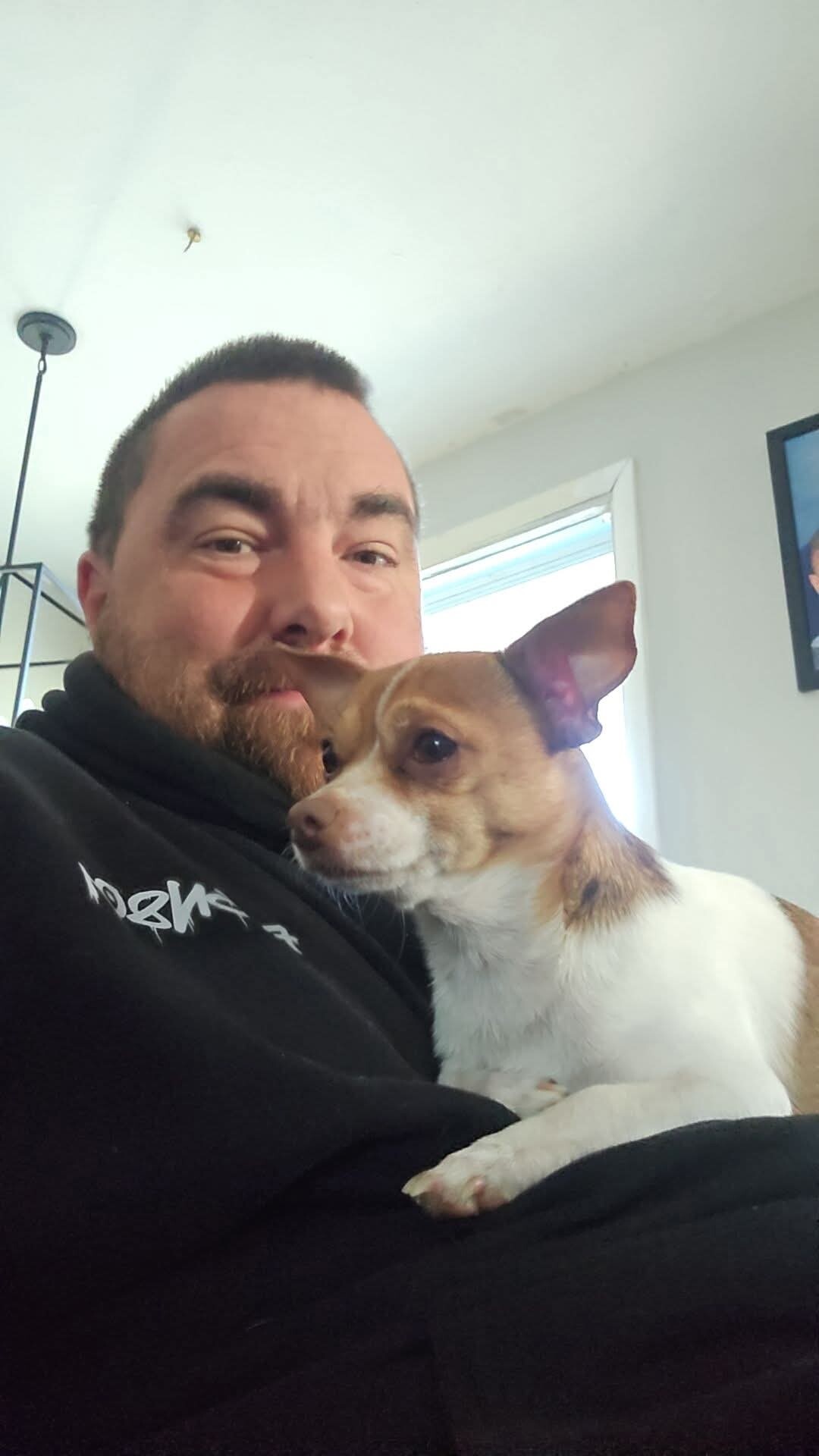 Picture of the Animal Listed