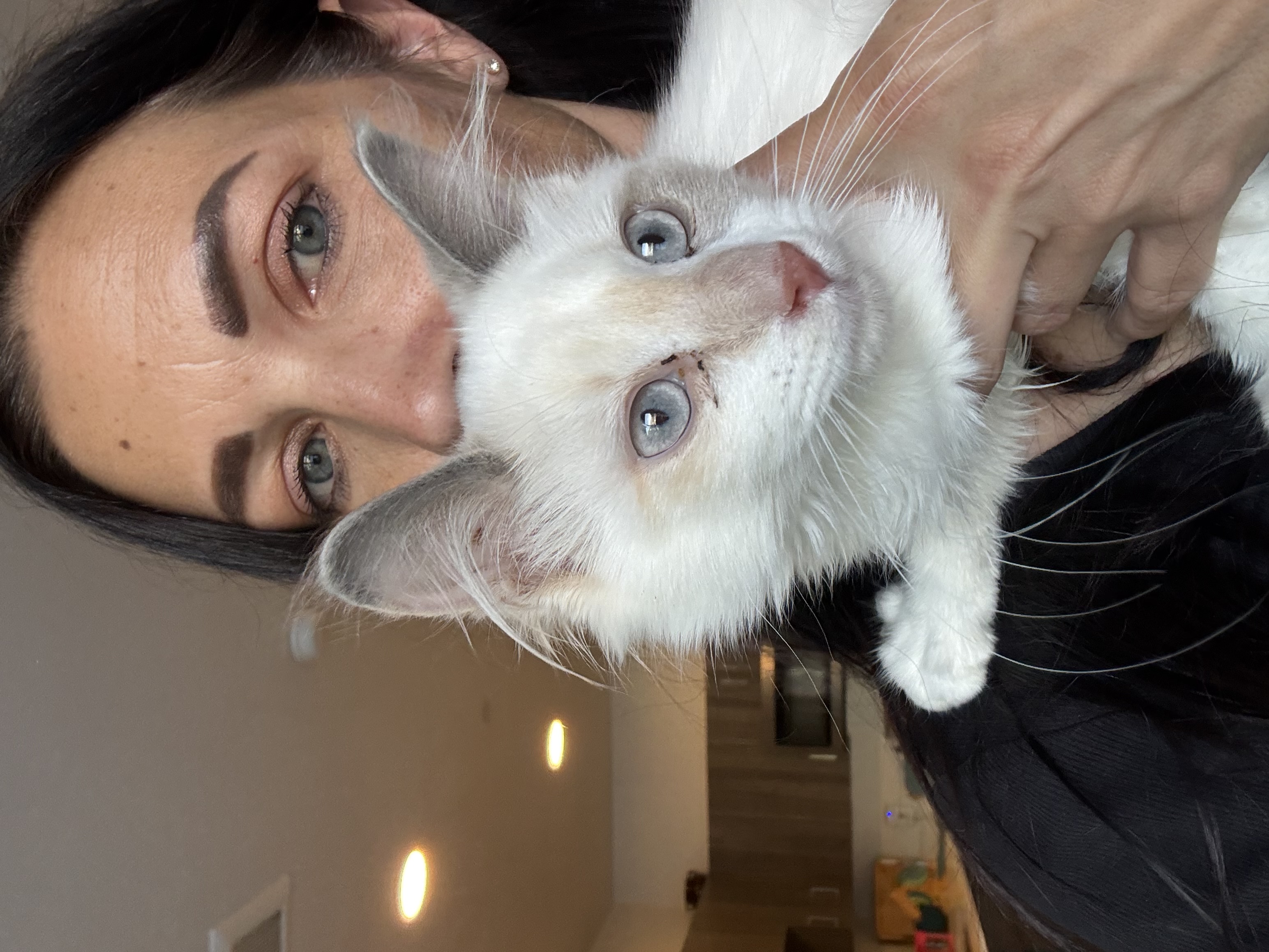 Picture of the Animal Listed