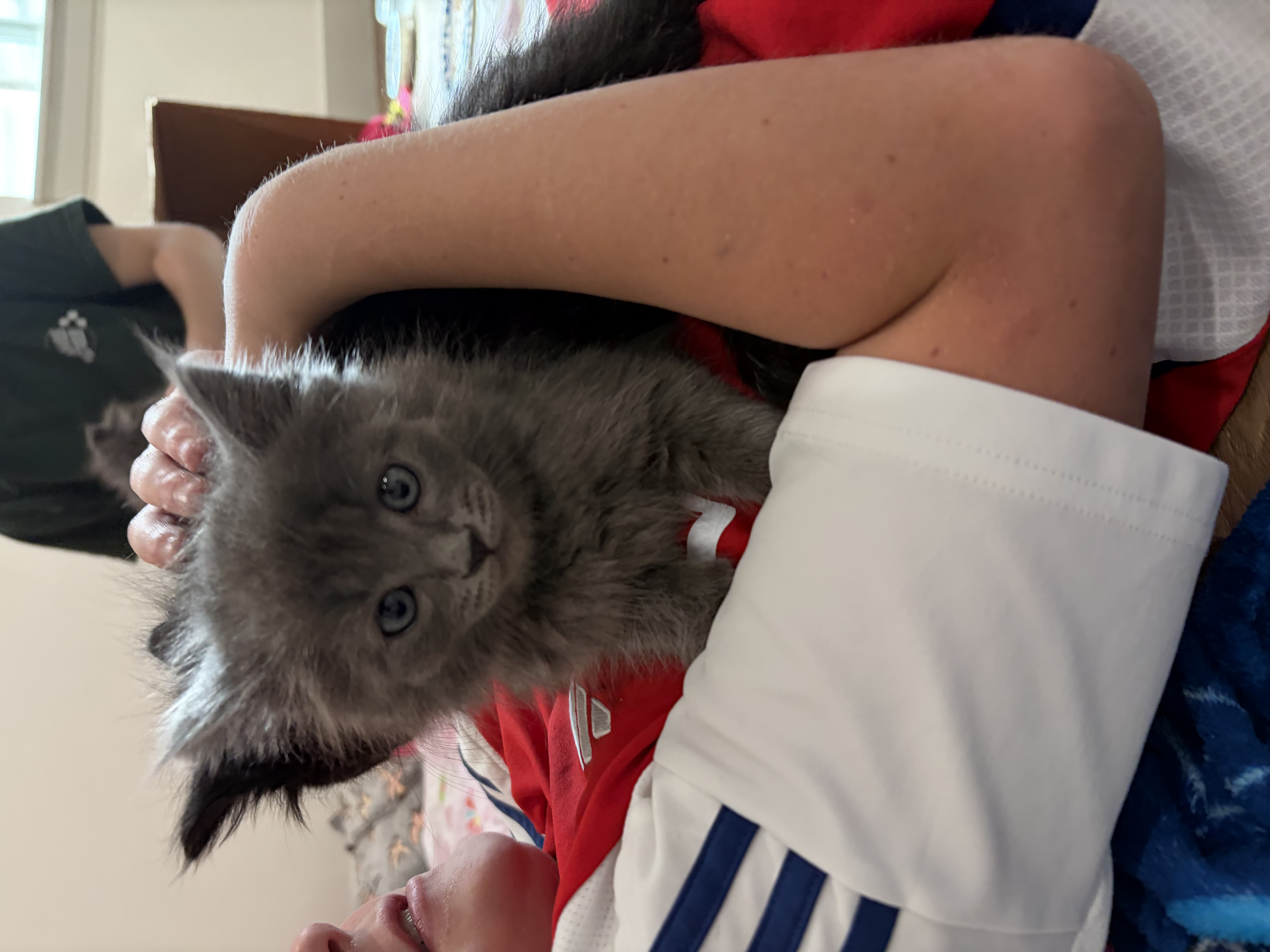 Picture of the Animal Listed