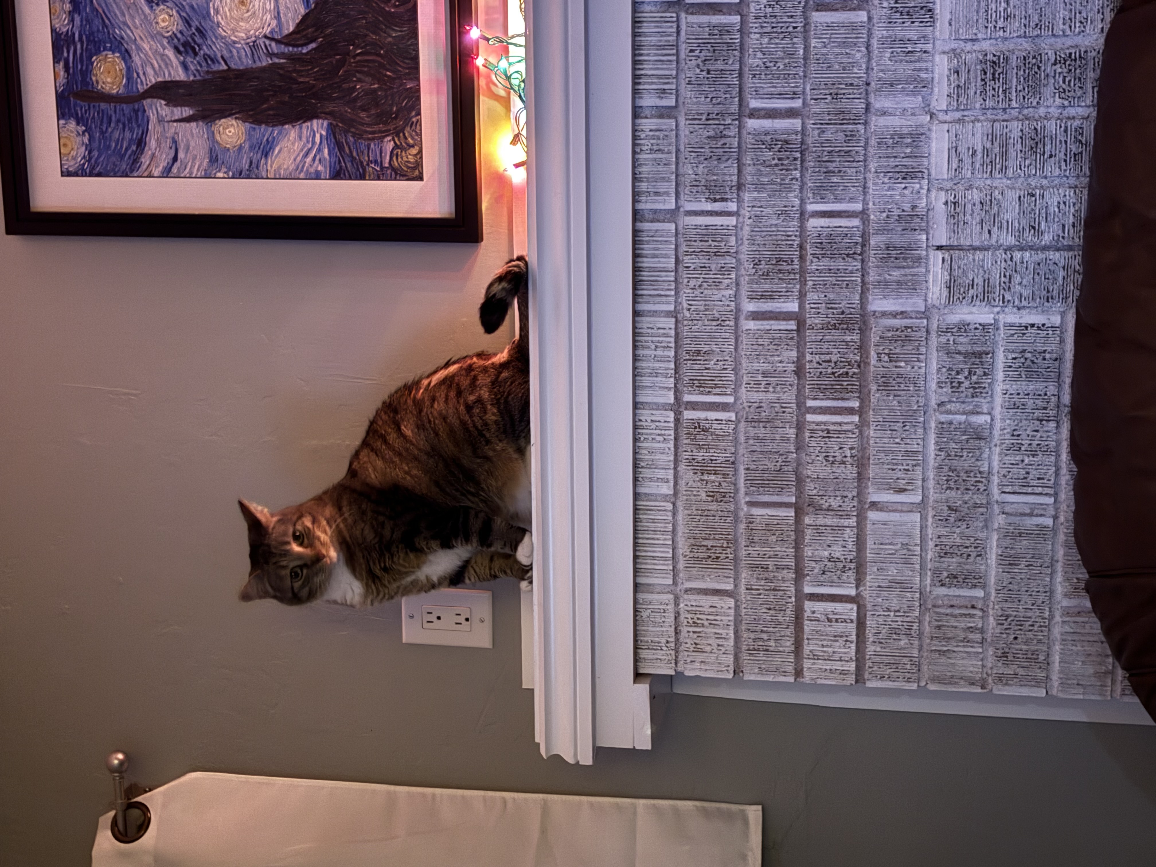 Picture of the Animal Listed